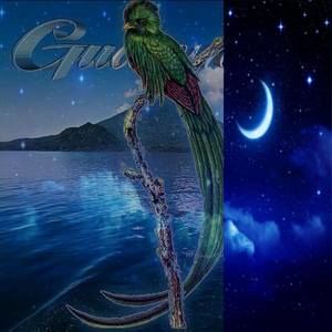 Meet your Posher, Vinicio